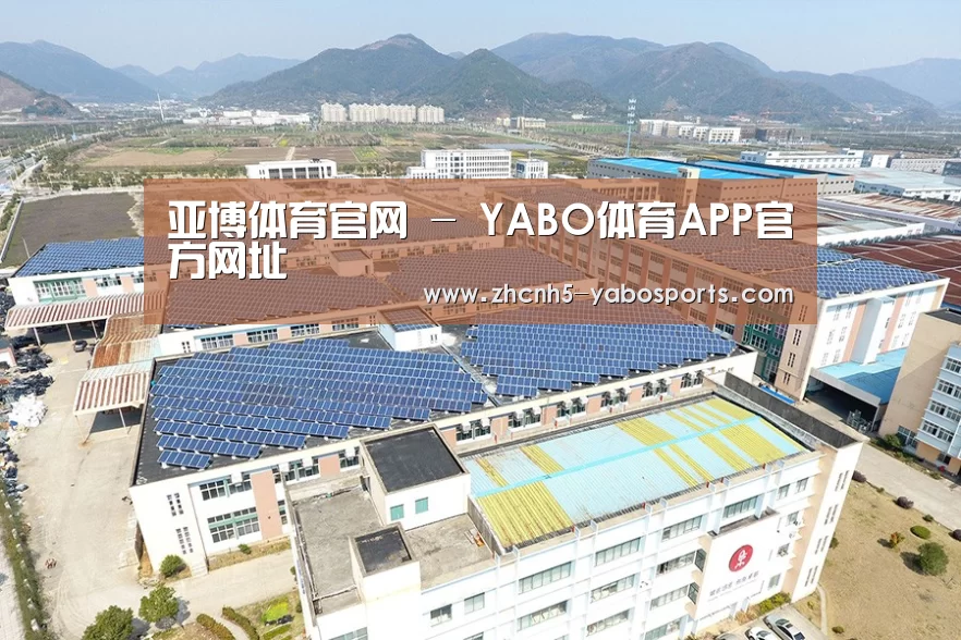 案例展示二