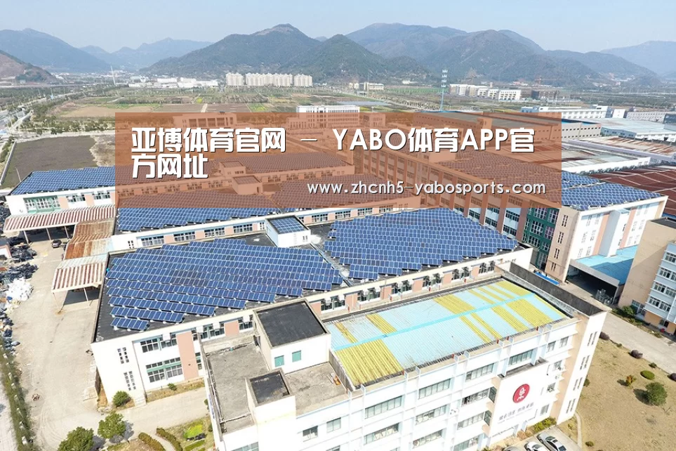 案例展示一