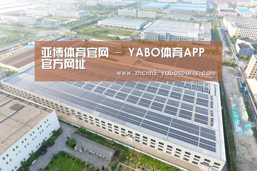 案例展示二