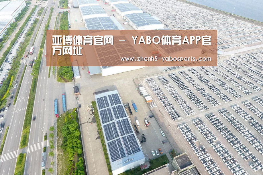 案例展示一