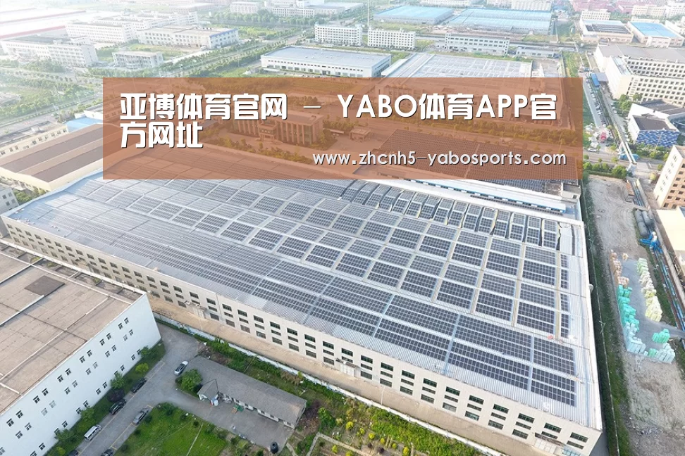 案例展示三
