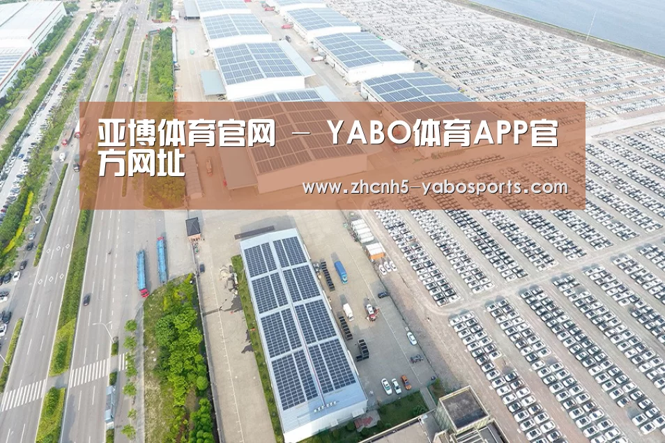 案例展示一