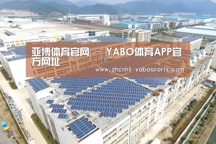 案例展示四