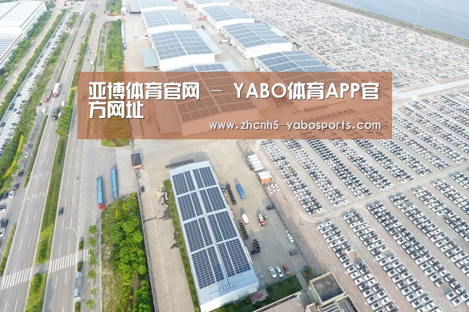 案例展示四