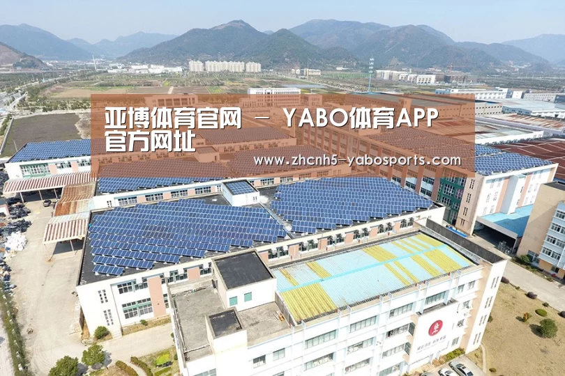 案例展示三