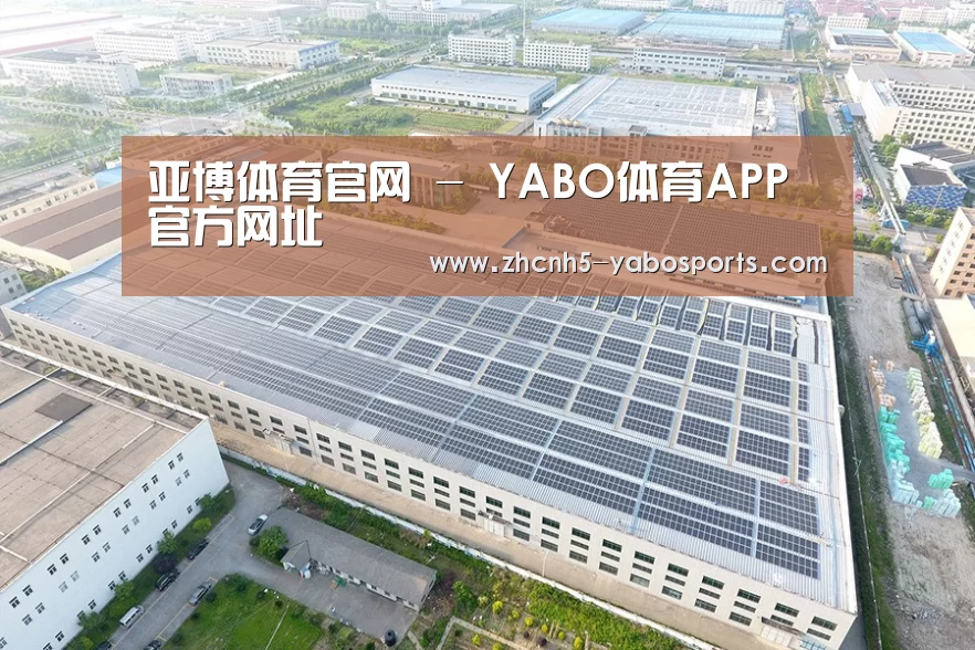案例展示四