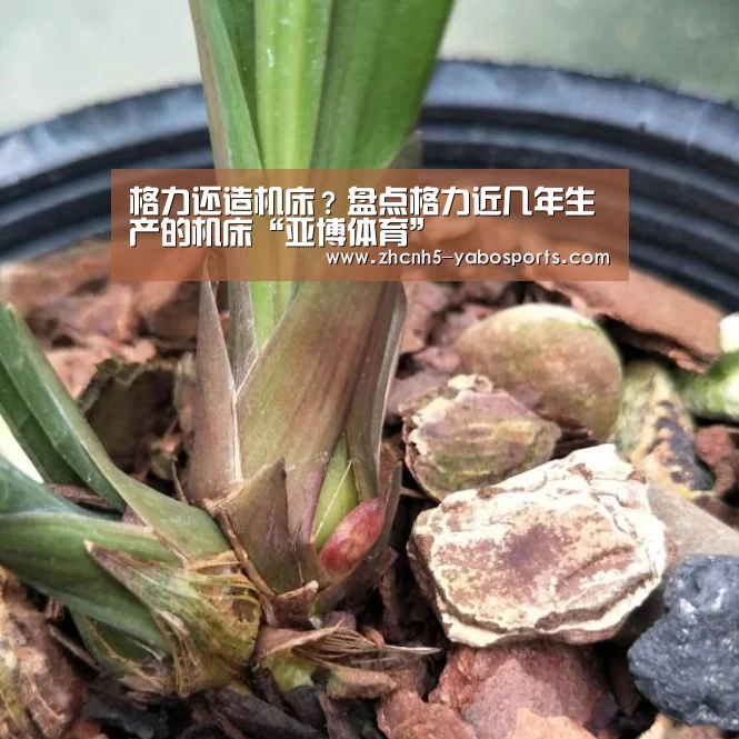 亚博体育