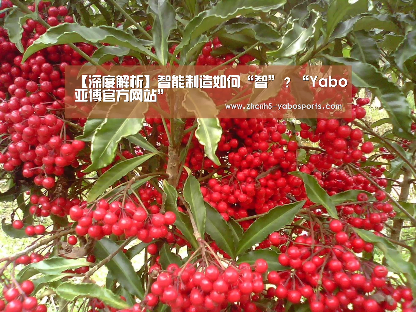 【深度解析】智能制造如何“智”?“Yabo亚博官方网站”(图1) Yabo亚博官方网站