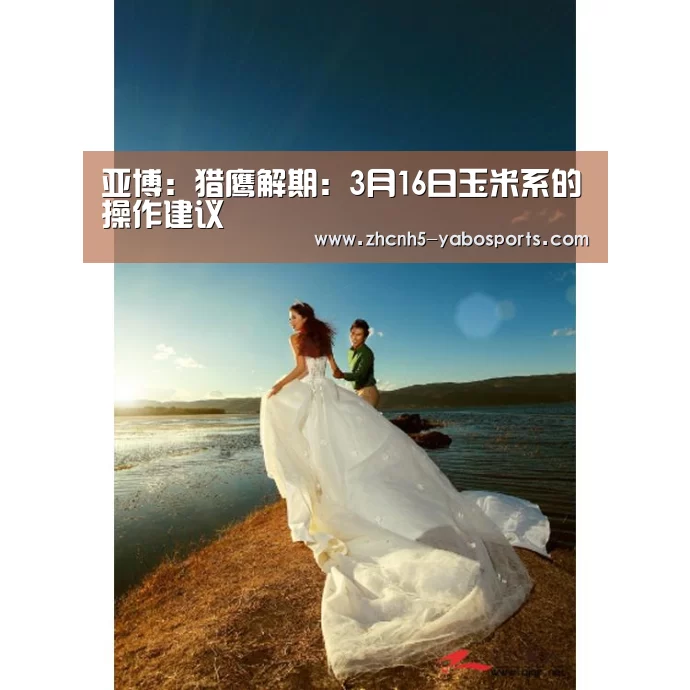 亚博：猎鹰解期：3月16日玉米系的操作建